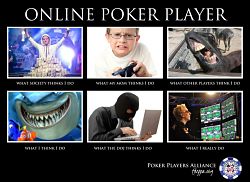 De Jugador de Poker a Analista Web